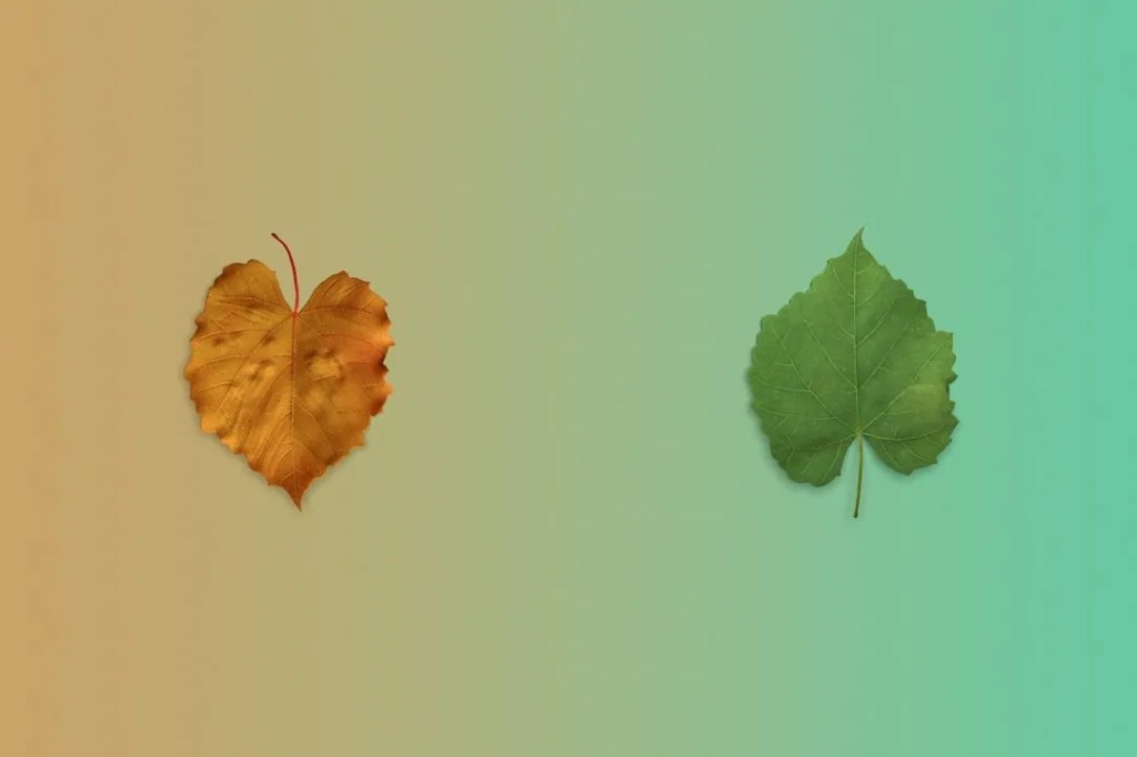 Befriend the Unknown: A Shift in Mindset